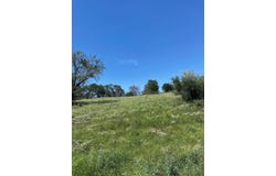W25004 Apache Tears, Horseshoe Bay, TX 78657