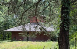 3189 CR 41, Carrollton, MS 38917