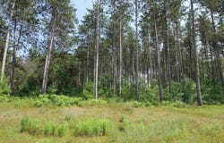 Lot 7 TWO SISTERS COURT, Stevens Point, WI 54482