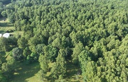 2009  Covington Rd, Crozier, VA 23039