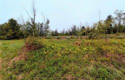0 Maricle Rd. Road, Freetown, NY 13040
