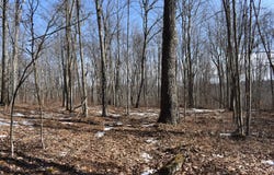 406 Hanslovan Lane, Pottersdale, PA 16871