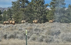 TBD County Rd 147A, Custer, MT 59024