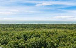 Tyrrell Beach Road, Ellsworth, MI 49729