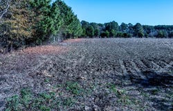 Lot 2 Bullard Pit Circle, Autryville, NC 28318
