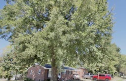 48 W Vine Street, Alamo, TN 38001