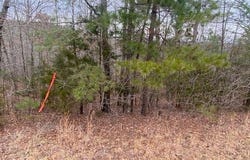 Lot 76 Mustang Drive, Clinton, AR 72031