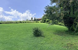 Perkins Tr, Jacksboro, TN 37757