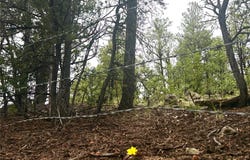1 Acre Highway 63, Pecos, NM 87552