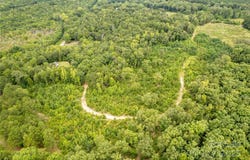 Tract B Old Catholic Church Road, Blackstock, SC 29014