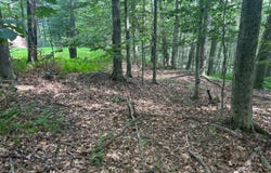 712 Basswood Terrace, Greentown, PA 18426