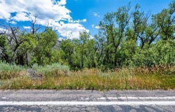 1110 Animas View Drive, Durango, CO 81301