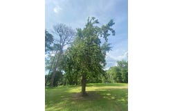 128 Twin Pines Road, Cordele, GA 31015