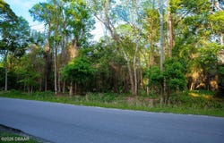 172 Whispering Pines Road, Georgetown, FL 32139