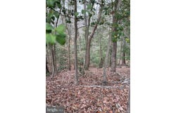 BEECH TRAIL, CROWNSVILLE, MD 21032