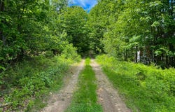 128 Common Road, Dixfield, ME 04224