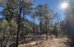 3290 W Black Oak Loop, Show Low, AZ 85901