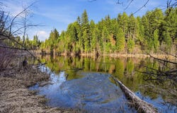 NNA Undisclosed Address, Elk, WA 99009
