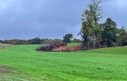 Tract 4 Medon Malesus Road, Medon, TN 38356