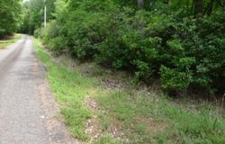 Mountain View Drive lot: 18, Lowgap, NC 27024