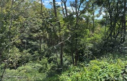 Linhigh Drive, Newland, NC 28657