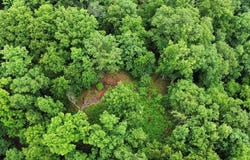 Little Cat Fork Road, Louisa, KY 41240
