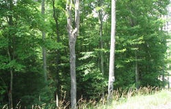 161 WINDSOR LANE, DANIELS, WV 25832
