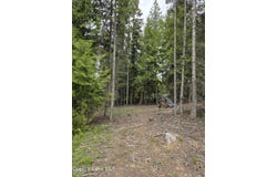 125 Cottage Lane, St. Maries, ID 83861