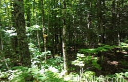 TBD E SHORE, Bergland, MI 49910