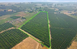 360 Pecan Rd., Grandview, WA 98930