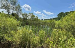 8029 E McVille Road, Solsberry, IN 47459