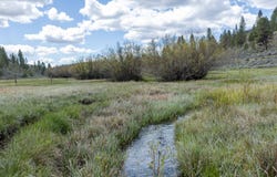 TL 600 Hines Logging Road, Hines, OR 97738
