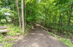 0 Leicester Road, Leicester, NY 14481