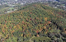 Mccann Hollow Road, Olean, NY 14760