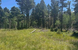 Lot 73 Calle de los Indios, Angel Fire, NM 87710