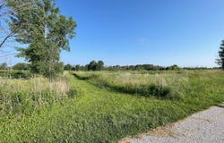 SUGAR MAPLE Drive, LUXEMBURG, WI 54217-0000