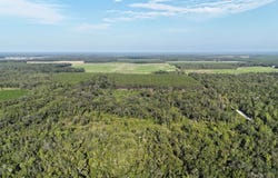 Vacant SE Gordon Hurst Road, Branford, FL 32008