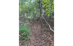 HWY 346, THAXTON, MS 38871