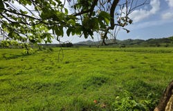CARR 31 INT 950 KMHM 97, Naguabo, 00718