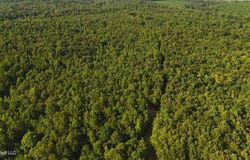 Cr 25, Eupora, MS 39744