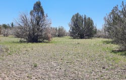 Lot 1316 Anvil Rock Rd, Seligman, AZ 86337