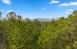 120 Hummingbird Way, Copperhill, TN 37317