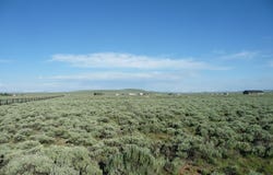 Tbd JOE ALEXANDER, Cora, WY 82925