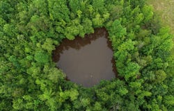 CR 5156, Booneville, MS 38829