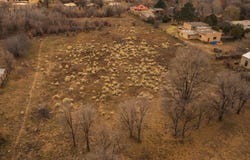 3 Plus Acres Off Linda Vista Lane, Taos, NM 87571