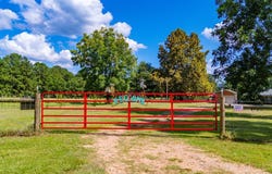 1533 County Road 348, Broaddus, TX 75929