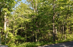 ARCHWOOD Trail lot: 342, WINCHESTER, VA 22602