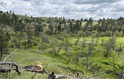 175 Gruenhagen Road, Moorcroft, WY 82721-9999