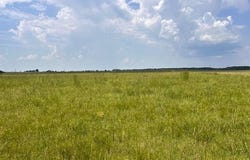 Pike Lane, Almyra, AR 72003