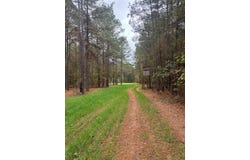 00 Old Plain Dealing Road, Benton, LA 71006